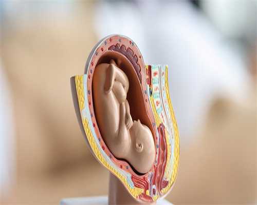 供卵代生套餐囊胚着床，把健康的未来带回家